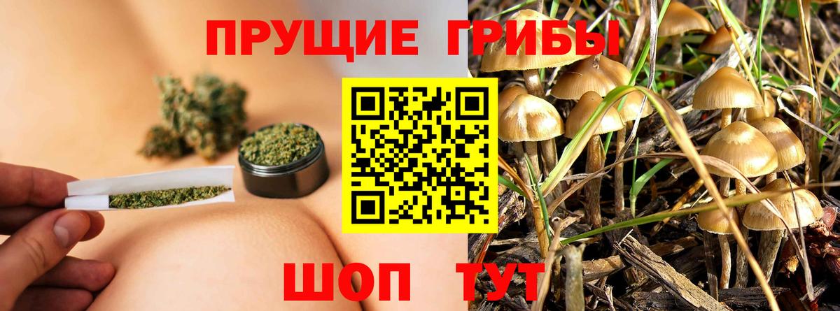 Галлюциногенные грибы мицелий  Вход с VPN  Сергиев Посад 